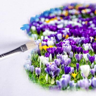 Fake plants: Je ne suis pas la plante que vous croyez.