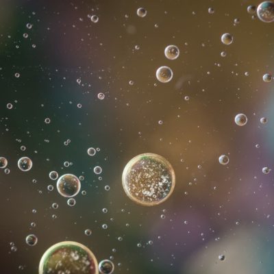 Probiotiques: Quelles sont les souches vraiment efficaces ?