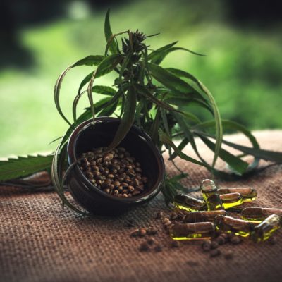 Code nutrition: Le CBD.
