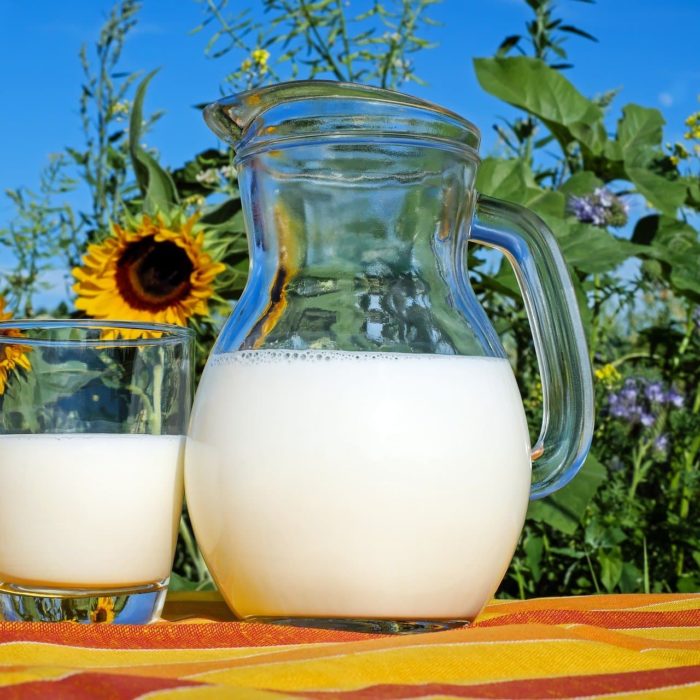 Protéines végétales : quand les coopératives laitières s‘y mettent…