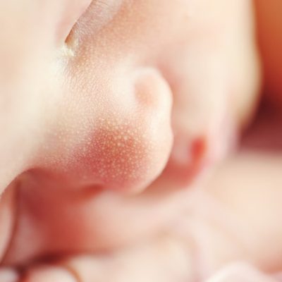 L’importance du microbiote du nourrisson.