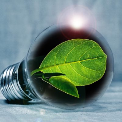 Innov’Alliance: Un pôle d’innovation pour l’alimentation, le bien-être et la naturalité.