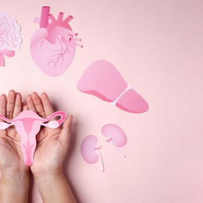 Ménopause et Bioactifs : Un Voyage à travers les Solutions Innovantes