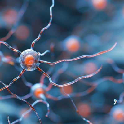 Fertilité hommes femmes: Comment optimiser sa quête d’enfant.